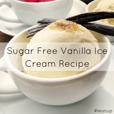 Sugar Free Vanilla Ice Cream Recipe LeanerMe Leaner Creamer Recipe Blog